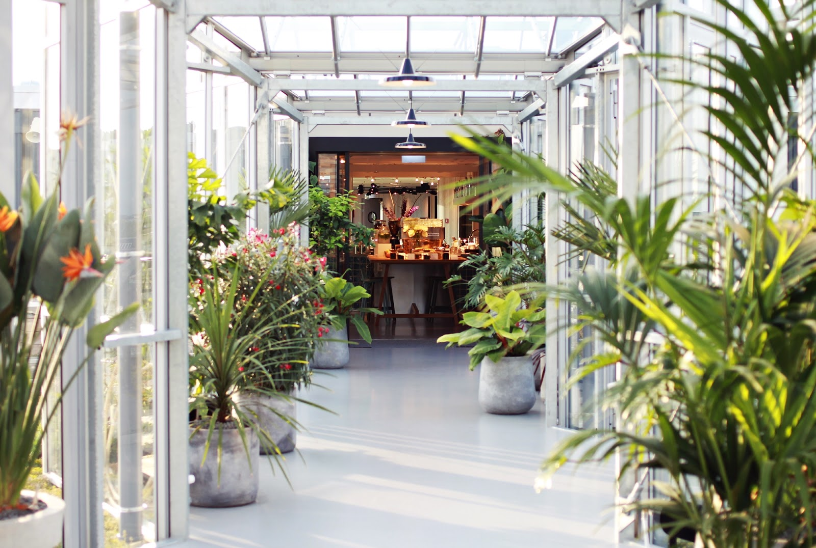 Outsite Amsterdam - Zoku